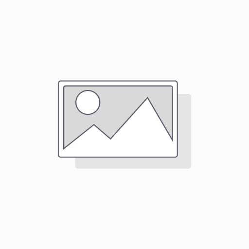 Aiguilles CARSYSTEM anti-poussière (10)