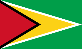 Pavillon. 30x45 Etamine Guyana (6)