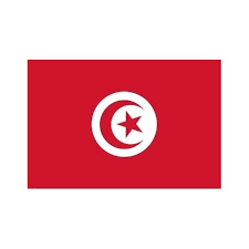 [A00099] Pavillon. 30x45 Etamine Tunisie