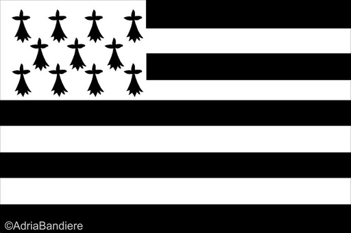 Pavillon. 100x150 Etamine Bretagne (Gwenn ah du)