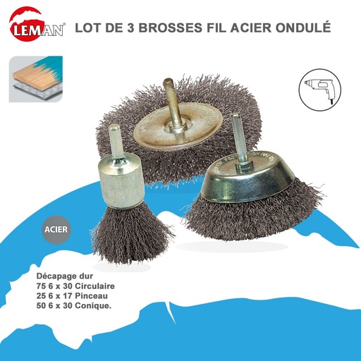 Lot de 3 brosse fil acier