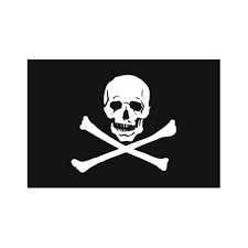 [A00565] Pavillon. 20x30 Etamine Pirate Os (Jolly Roger)