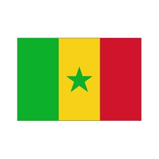 Pavillon. 30x45 Etamine Sénégal (3)